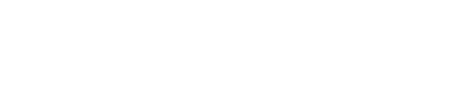 BusPilot dark logo